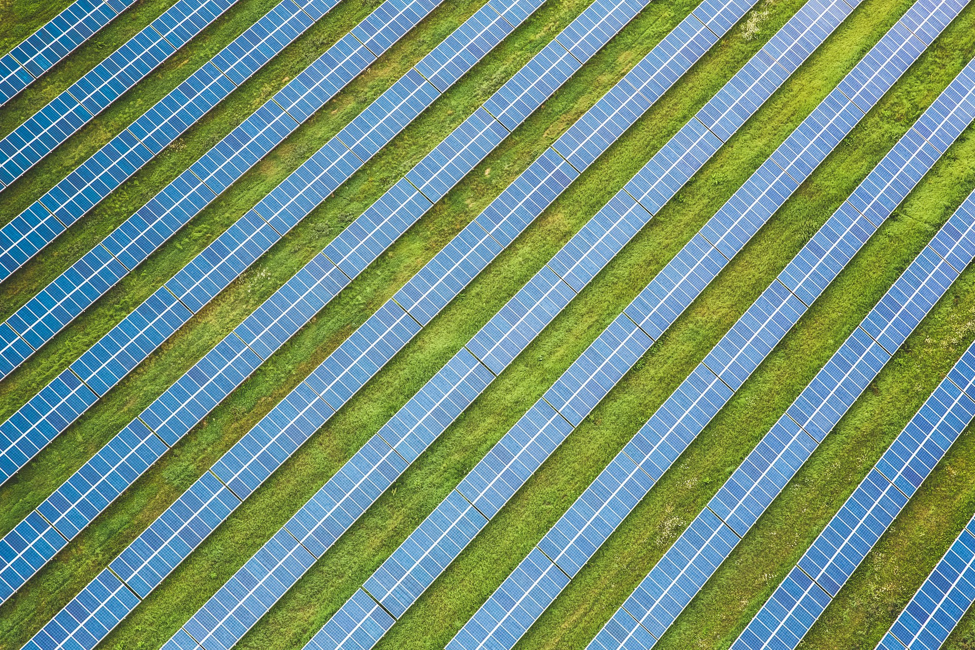 markus-spiske-d7fbdjkjsfw-unsplash